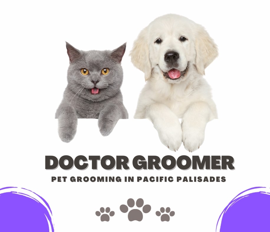 Mobile Pet Grooming Pacific Palisades