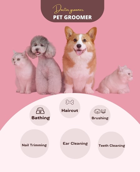 Mobile Pet Grooming service list in pacific palisades