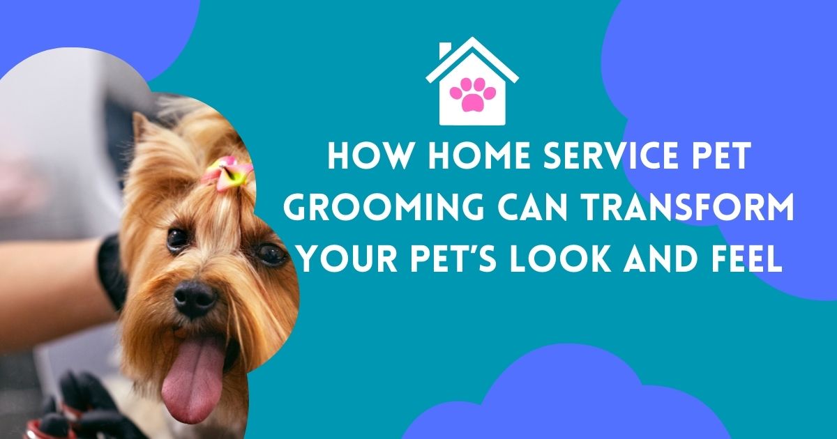 How Home Service Pet Grooming Can Transform