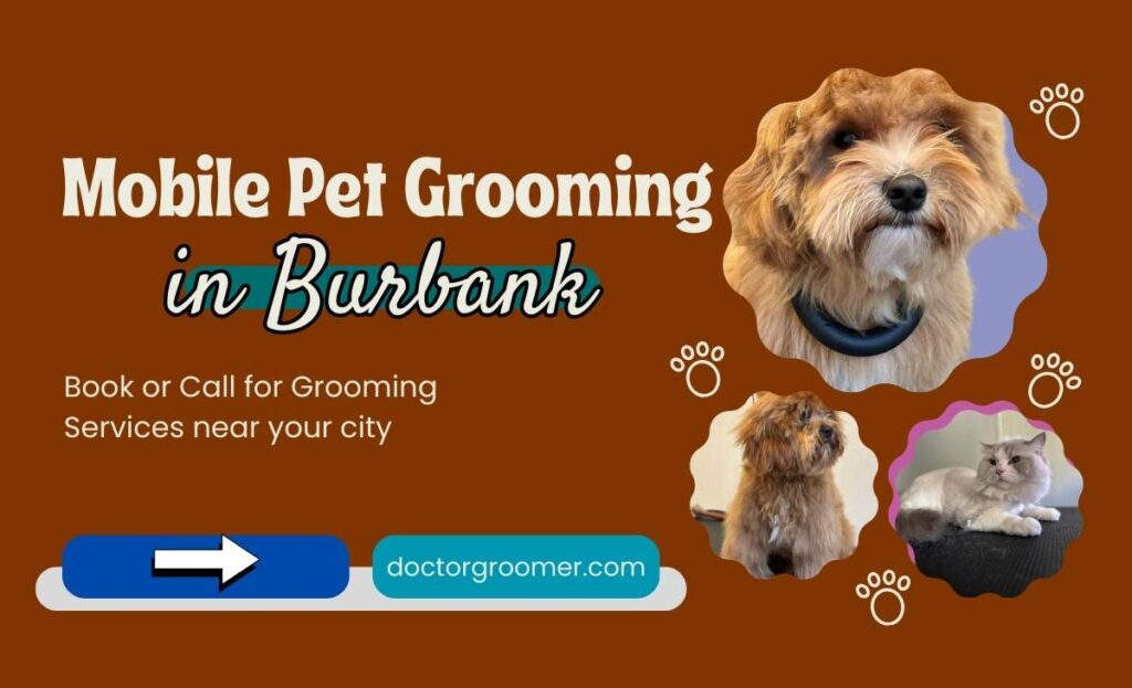 mobile pet grooming burbank