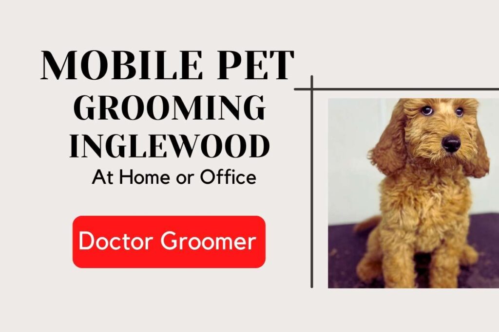 Mobile Pet Grooming Inglewood CA or nearby areas for top-rated services