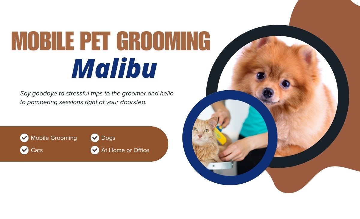 Mobile Pet grooming services in Malibu