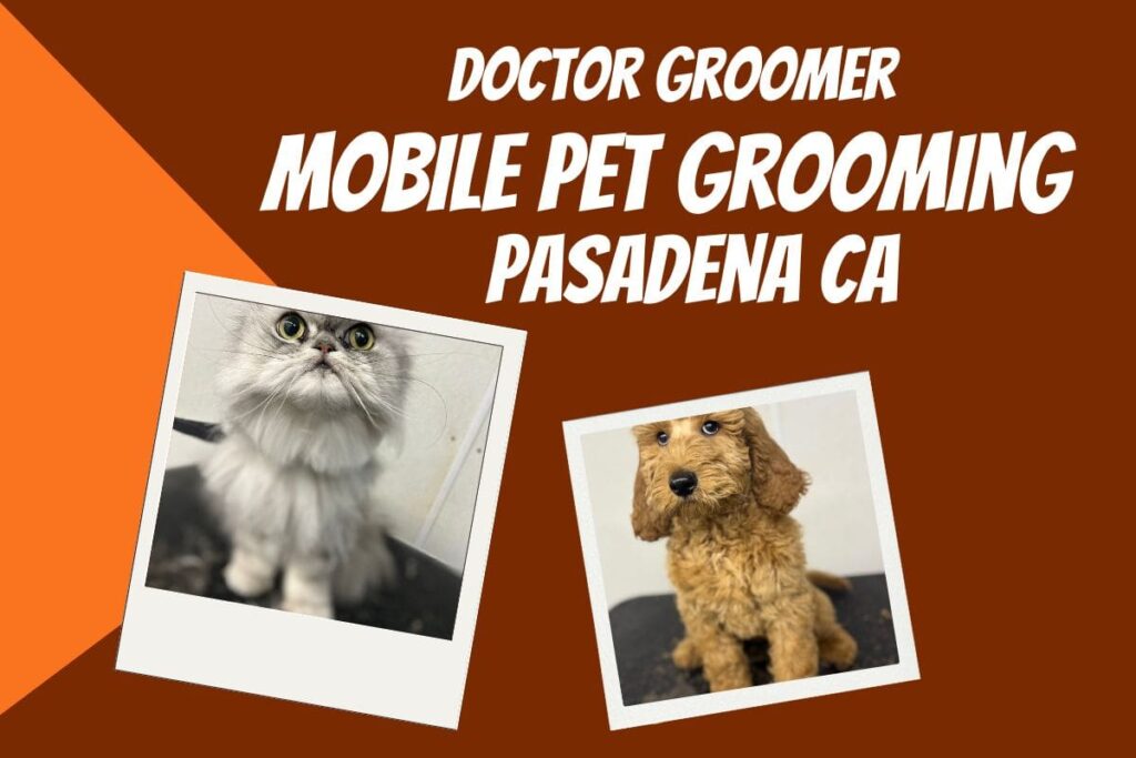 Doctor Groomer is Providing Mobile Pet Grooming Pasadena CA