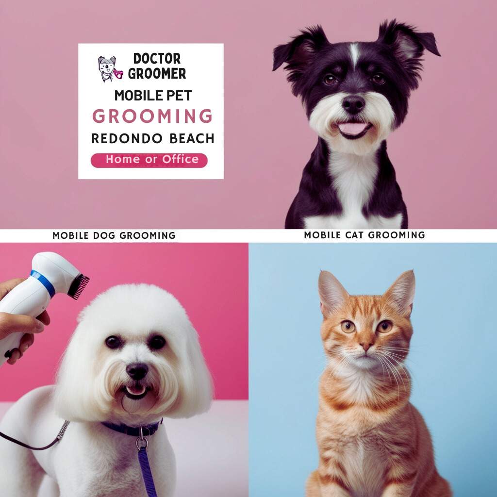 Mobile pet grooming Redondo Beach Service at home or office