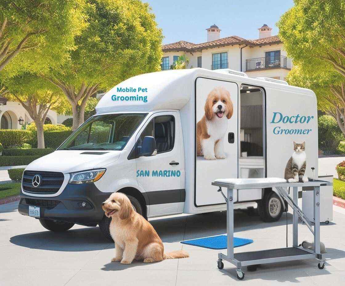 Mobile pet grooming San Marino Van for Service