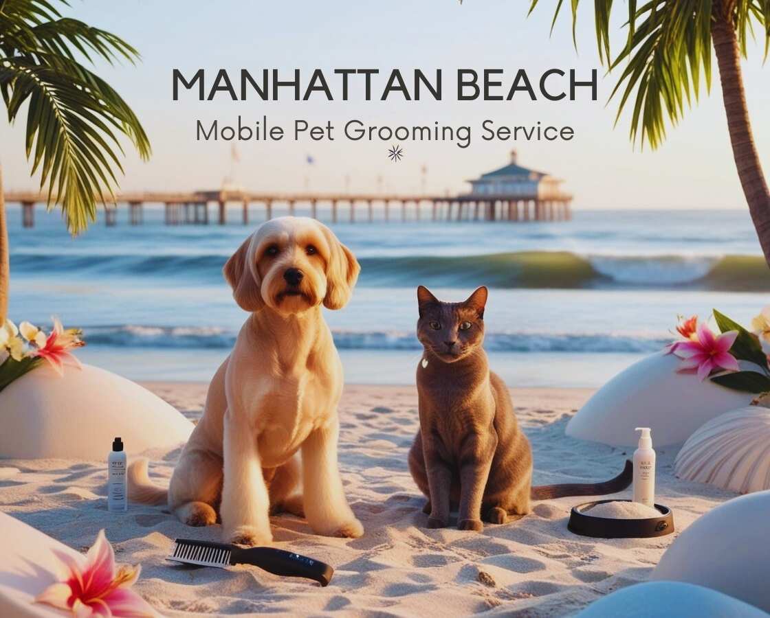 Mobile pet grooming Manhattan Beach CA or nearby areas at home or office