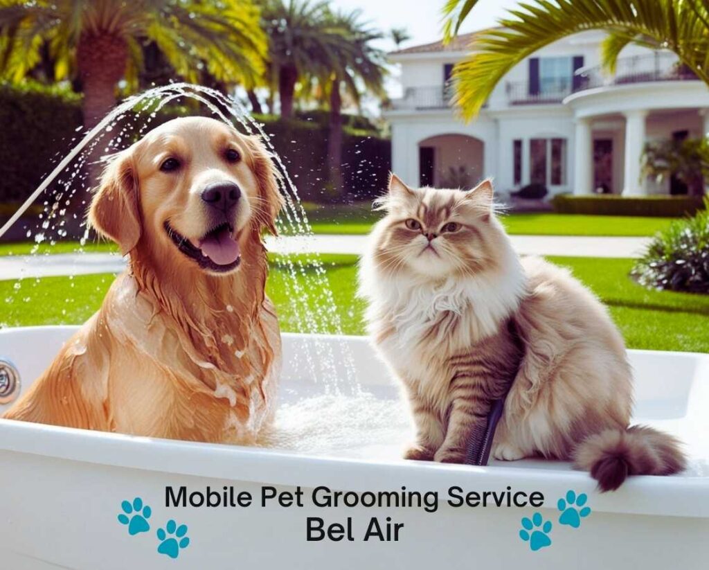 Doctor Groomer Mobile Pet Grooming Bel Air or nearby areas at home or office