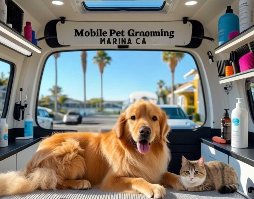 Mobile Pet Grooming Marina CA