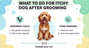 What to do for itchy dog after grooming